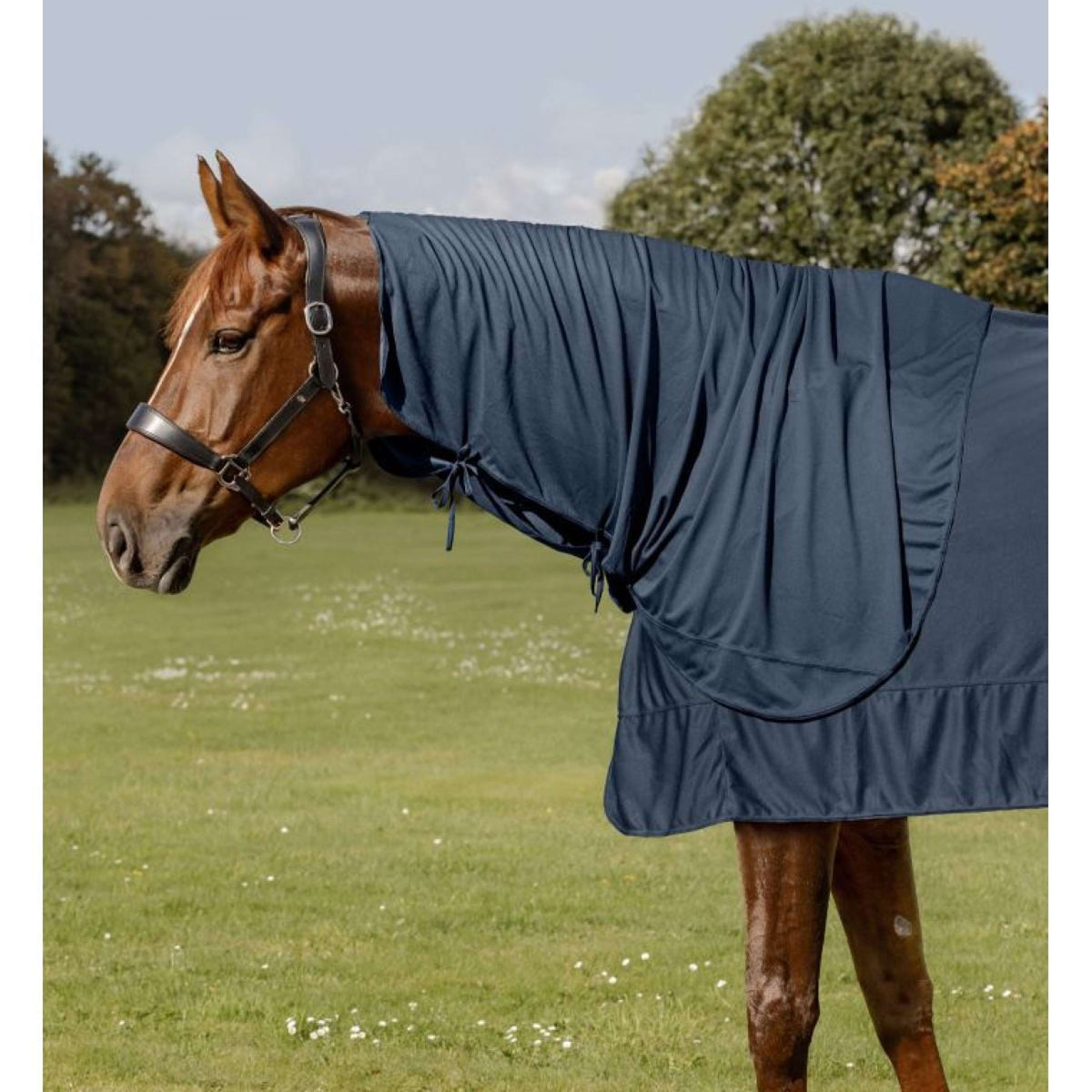 Waldhausen Health + Care Halsstück Ice Layer Nachtblau