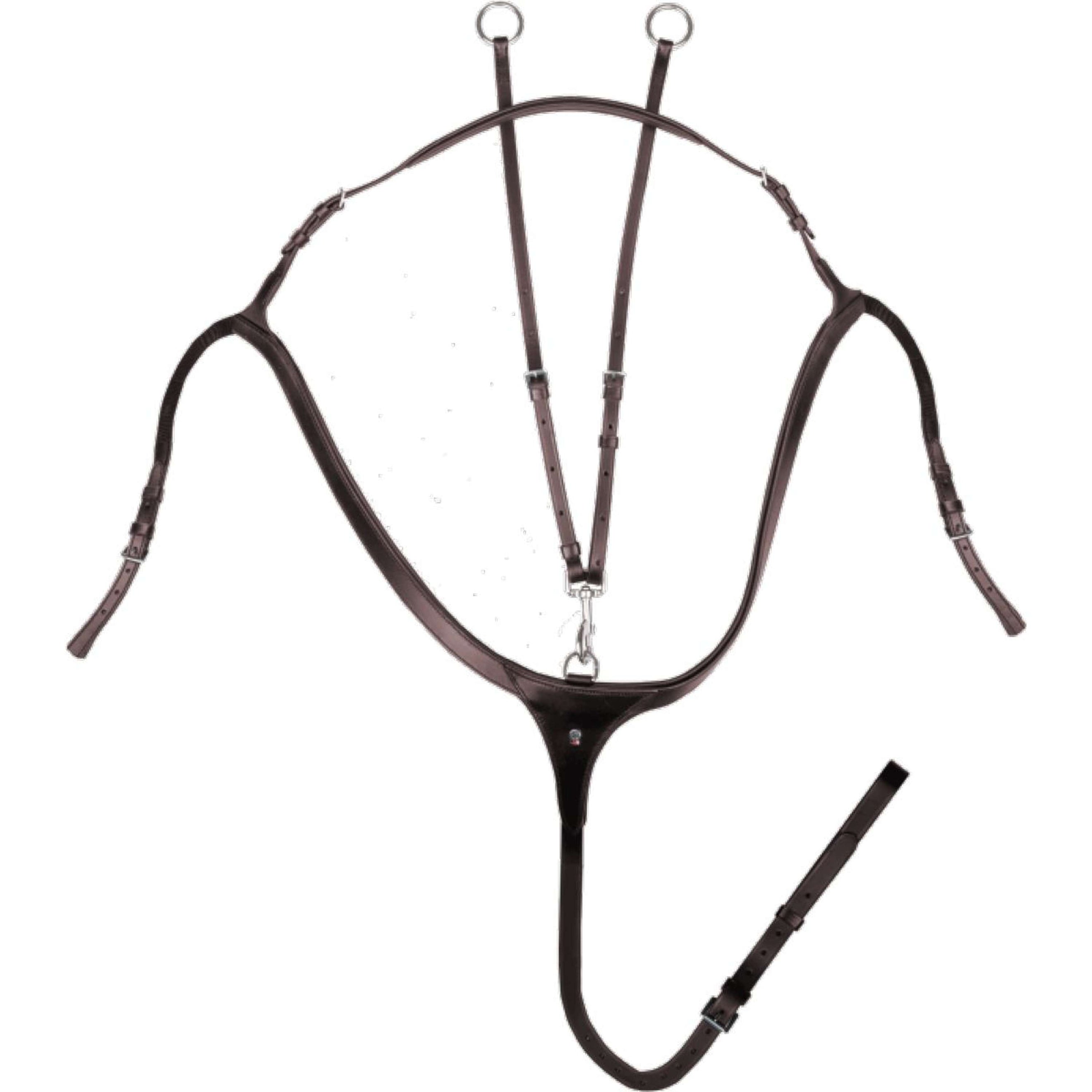 Waldhausen Martingal X-Line Braun Waldhausen Martingal X-Line Braun