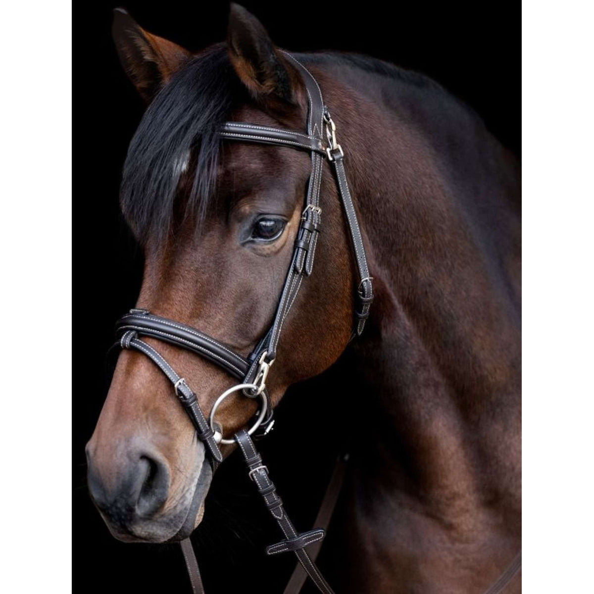 Waldhausen Zaum X-Line Work Braun