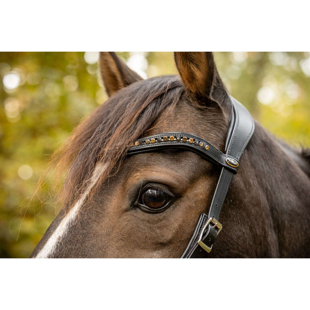 F.R.A. Gebisslose Trense Moonlight Schwarz